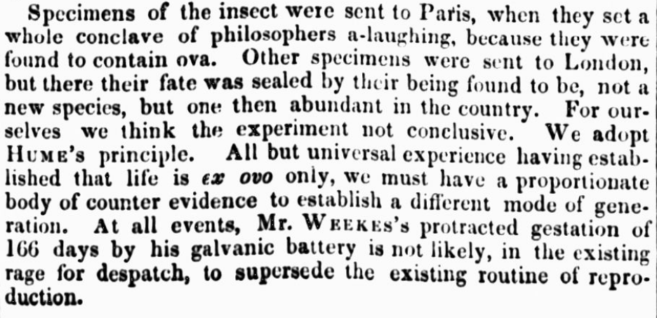 Original Newspaper Clipping